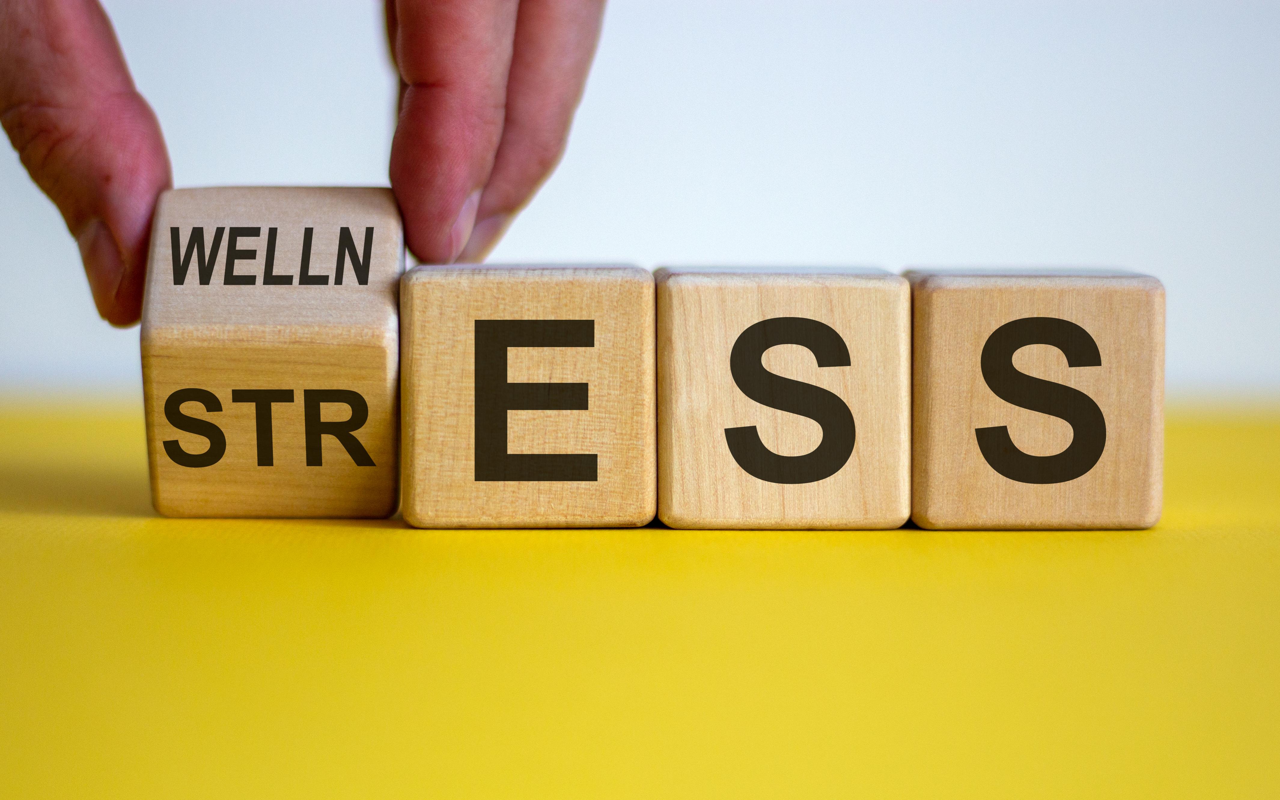 Медитация и осознаность
